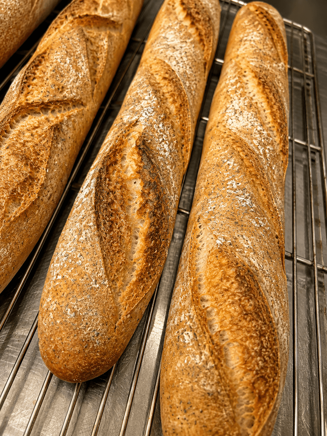 Filoni di pane TERA con crosta dorata su una griglia